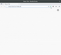 "https://vpn1.uni-halle.de" im Browser