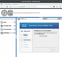 Automatische Installation des AnyConnect-Clients