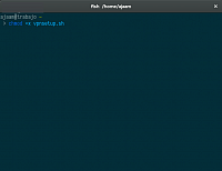 Terminal mit Befehl "chmod +x vpnsetup.sh"