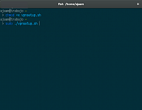 Terminal mit Befehl "sudo ./vpnsetup.sh"