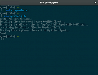 Terminal mit erfolgreicher AnyConnect-Client-Installation