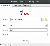 Eingabe der Nutzerdaten im VPN-Client