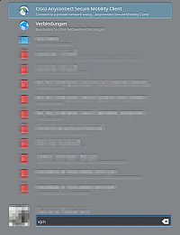 "vpn"-Eingabe im Hauptmen