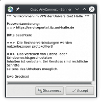 Nutzungsbedingungen im VPN-Programm