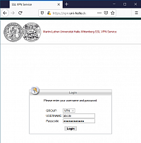 VPN-Login-Seite der MLU (nicht angemeldet)